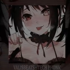 VALI$BEATS - TECH PHONK (slowed + reverb)