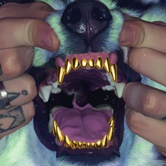 Teeth