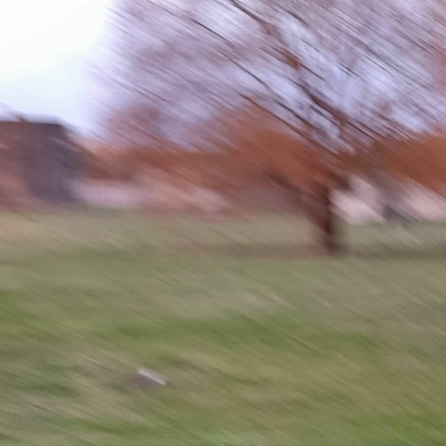 deceived pt2 w/ shy (02ashes + reesoo)