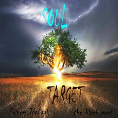 Soul Target