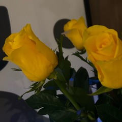 Ce que sabe, eu voltaria.