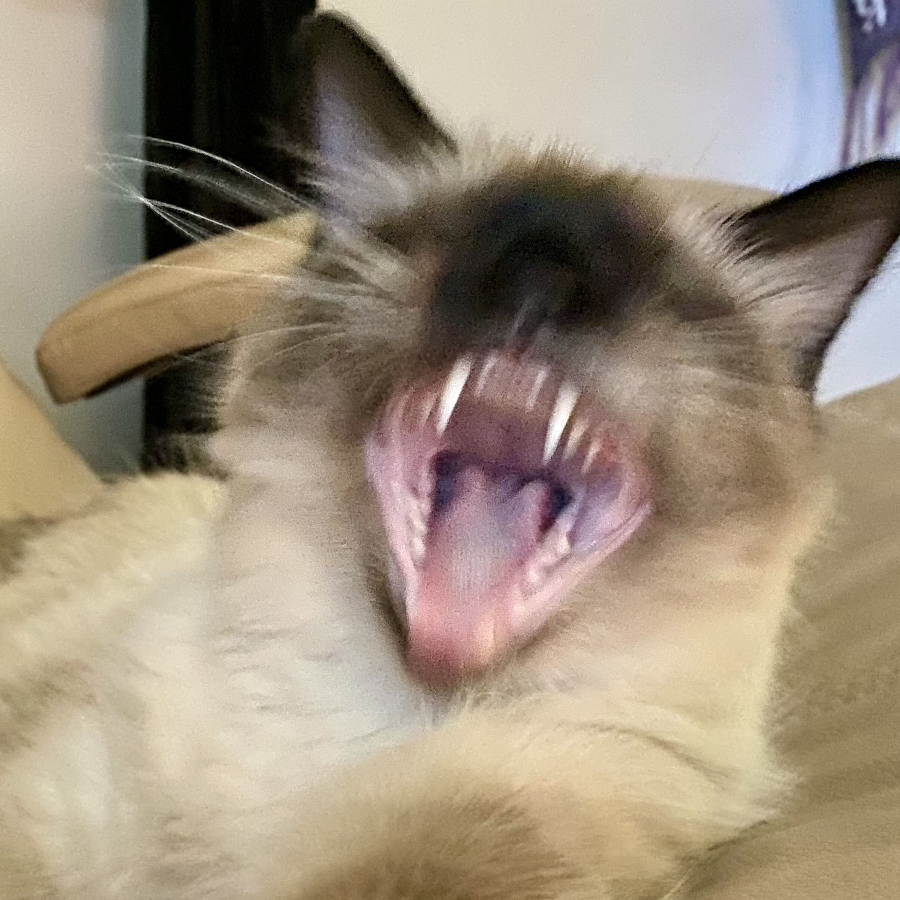 stitchwaves to painwaves