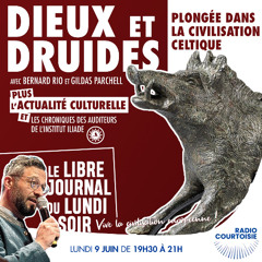 Dieux et druides : plongée dans la civilisation celtique - Radio Courtoisie - 09/06/2025