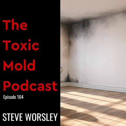 EP 164: Is Black Mold a Concern in the Summer?