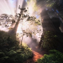 Diamonds On Melanin Polaris Ft DaylinXL