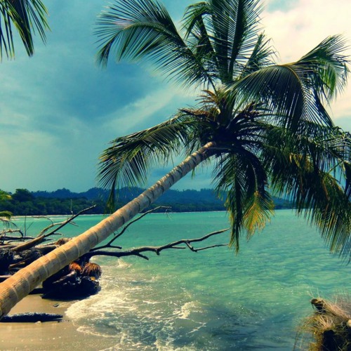 คอมอัสซีโอคอมอิน calm background music (FREE DOWNLOAD)