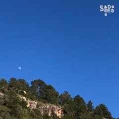 Open Sesame 024 - Sadeedo
