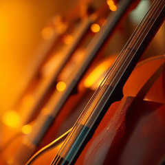 Showcase #3: 10 Jahre Jubiläum Techvision GmbH - Herzton AI