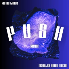 Skrillex, Hamdi & TAICHU -  Push (Ric de Large DnB Remix)