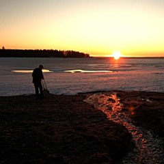 In dogs we trust Inc,