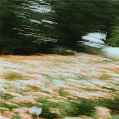 RINZ. x Midnight Hour - Changing Forest