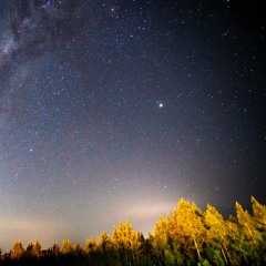 Loof God die zegevierend teruggekeerd is