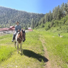 Bill Callahan 240924