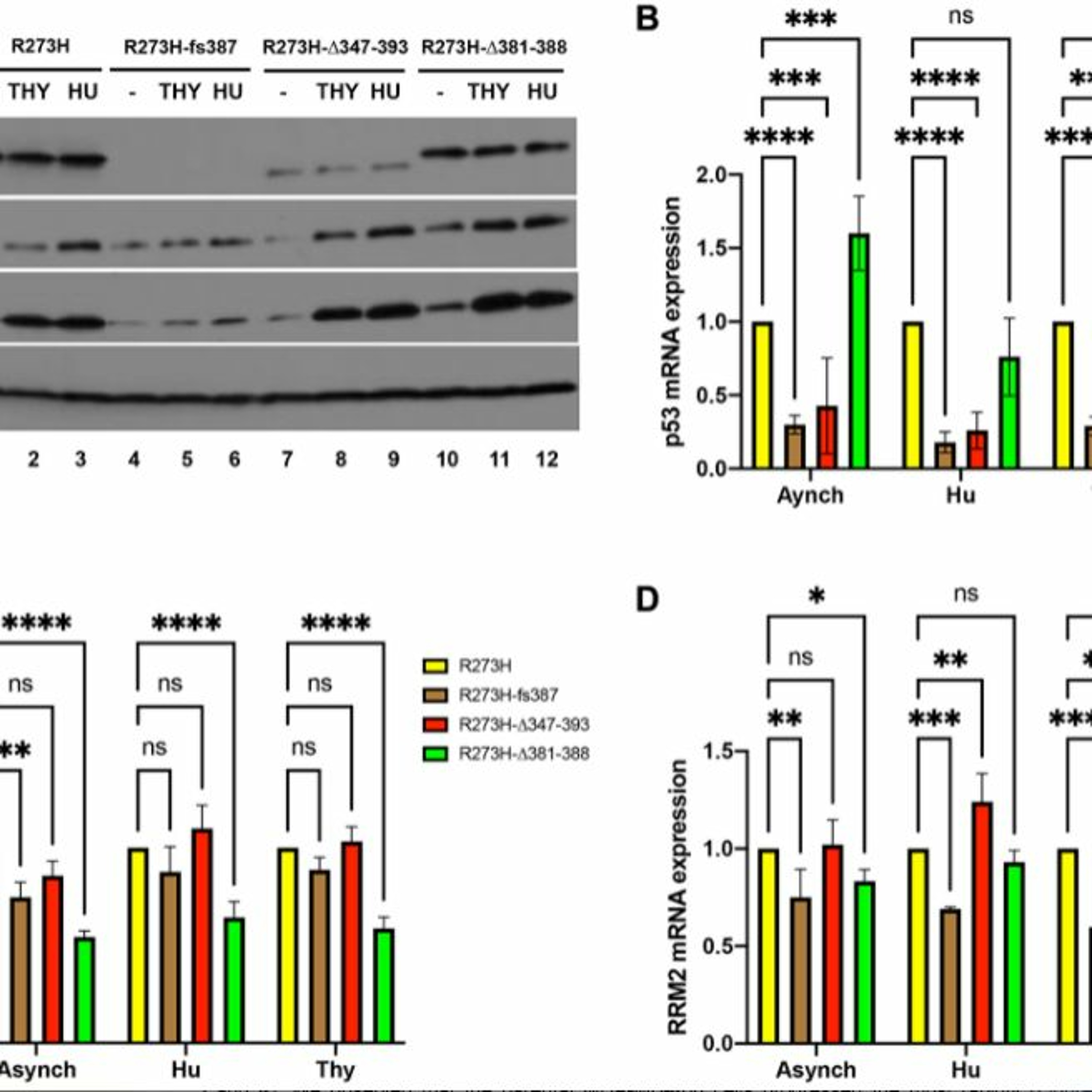 Oncotarget