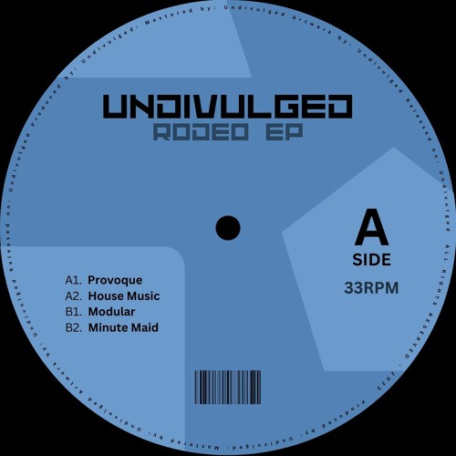Undivulged - House Music