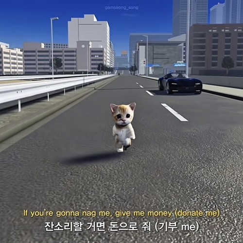 Kakaopay- 잔소리 할거면 돈으로 줘 (If you're going to nag, give me money)