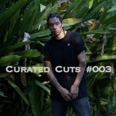 Juany Bravo - Curated Cuts #003