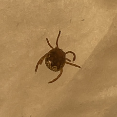 I didn’t tell you everything