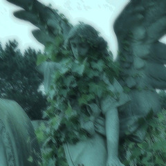 void vor