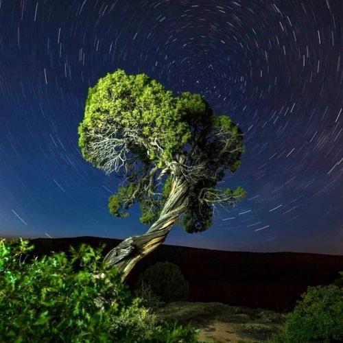 FORCE (with Leon Thorne on Tenor saxophone)