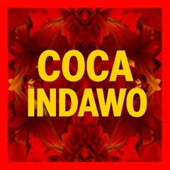 COCA INDAWO