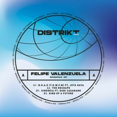 DTKP003 - Felipe Valenzuela - Sinergia EP - Clips