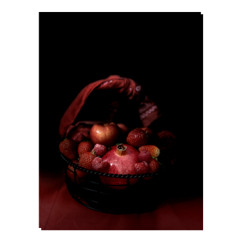 rumble in the jungle