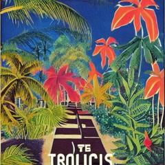 Post - Tropicalism