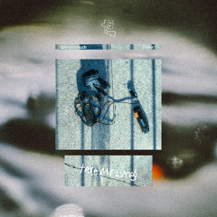 Take my Lungs - talkingtoomuch