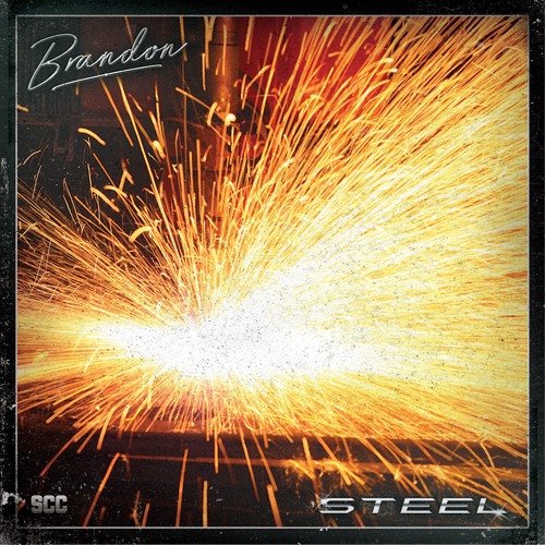 Steel