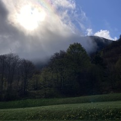 deepened *eddiegianni*