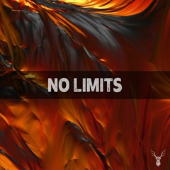 BassTrip - No Limits