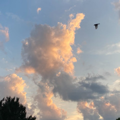 Flew By (prod. eeryskies & ELI)