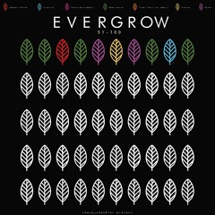 EVERGROW #60- Internal Recharge - (Deep/Tech/House)