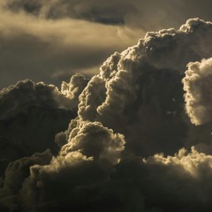 No Turning Back To Sephora