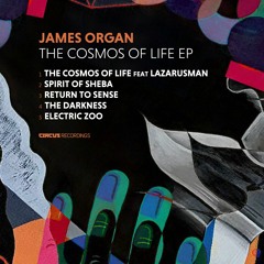 Premiere: James Organ - Spirit Of Sheba [Circus Recordings]