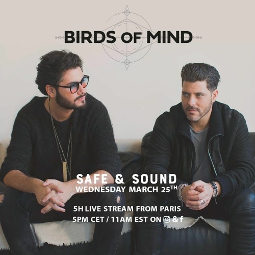 Birds of Mind - Safe & Sound Live Stream [ 25th March 2020 ]