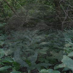 2024 - 04 - 26 MONKEY BUSINESS