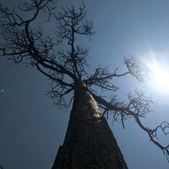 REBELLiON (UNDERAGE ESCAPE STORY)