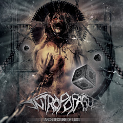 Architecture of Lust