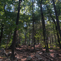 treeway