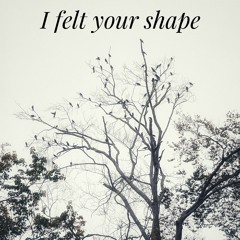 I Felt Your Shape (cover)