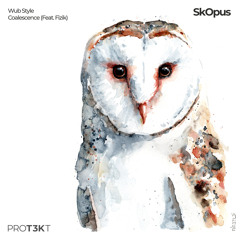 SkOpus - Wub Style (Out now. All proceeds will be donated. Check description for more details.)