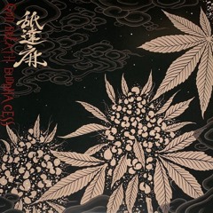 100MILLIONS japanese folk remix