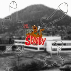 Dønski Pikken (Slowed)