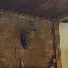 notimetosleep - WTF (revenge by xxxtentacion beat)