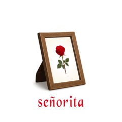 Señorita