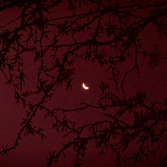 Gr3ysoul • V - L O N E 只要 - ft Bixnan