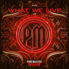 Zion - What We Live (Radio Edit)