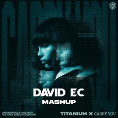 Martin Garrix & Third Party vs. David Guetta Feat. Sia - Carry You x Titanium (David Ec Mashup)